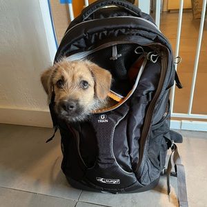 Kurgo G Train Pet Carrier Backpack